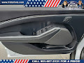 2022 Ford Mustang Mach-E California Route 1