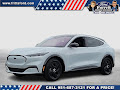 2022 Ford Mustang Mach-E California Route 1
