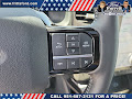 2025 Ford F-150 Lightning Platinum