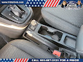 2019 Ford Transit Connect XLT