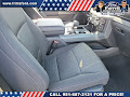 2025 Ford F-150 XLT 4WD