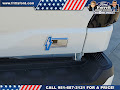 2025 Ford F-150 Lightning Platinum