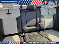 2025 Ford F-150 Lightning Platinum