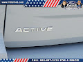 2025 Ford Expedition Active MAX