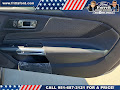 2025 Ford Mustang EcoBoost Fastback