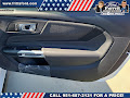 2025 Ford Mustang EcoBoost Fastback